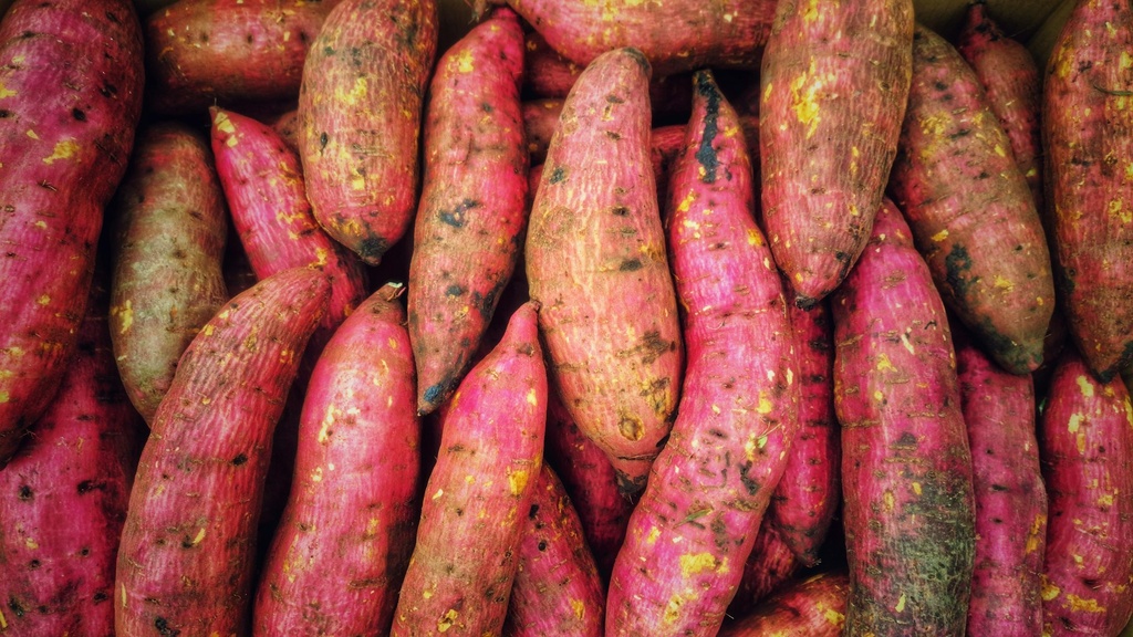 sweet potato