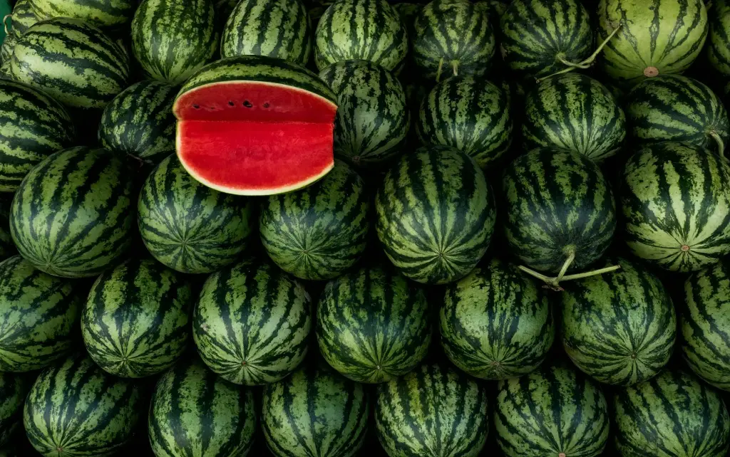 watermelon- per KG