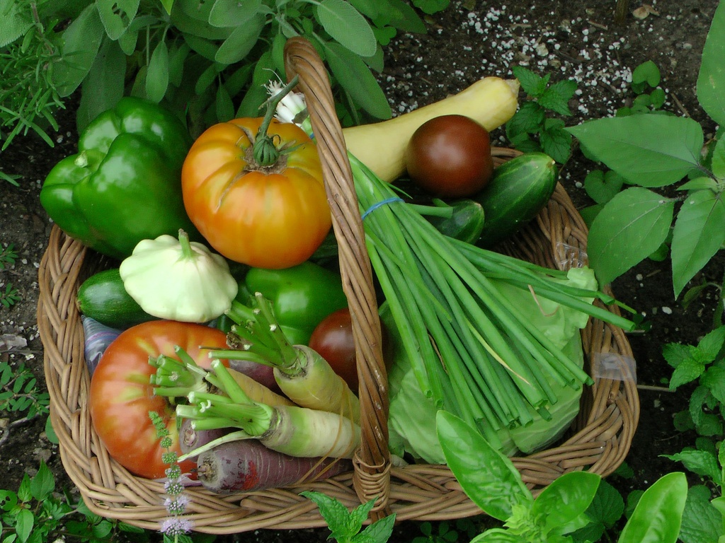 Mixed Veggies Combo-Sukuma, Tomatoes, Carrots, Potatoes, Onions, Dania