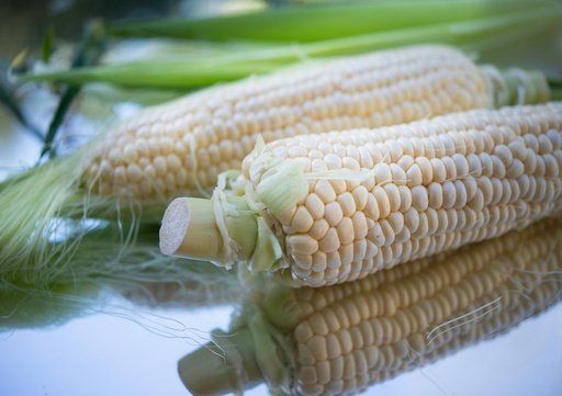Maize corn - per piece