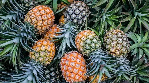 Pineapple - per piec