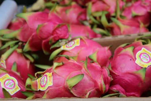 Dragon fruit -per piece