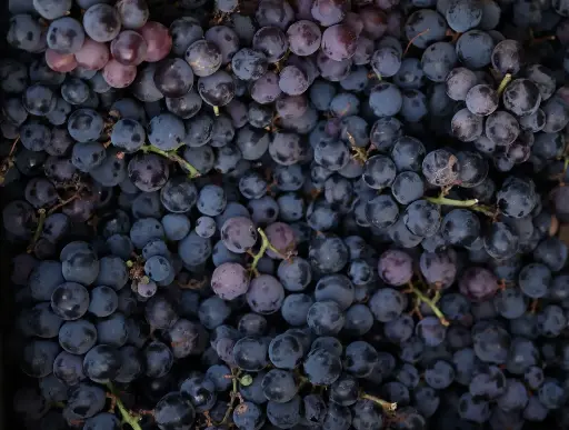 Grapes - Per 500g
